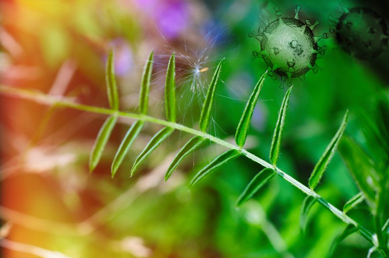 Лечение, Тестирование и карантин – Covid 19