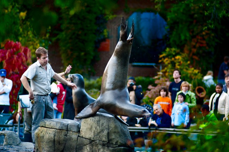 воспитание