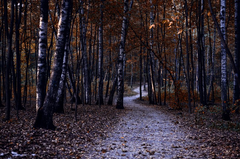 Старение препятствует раку