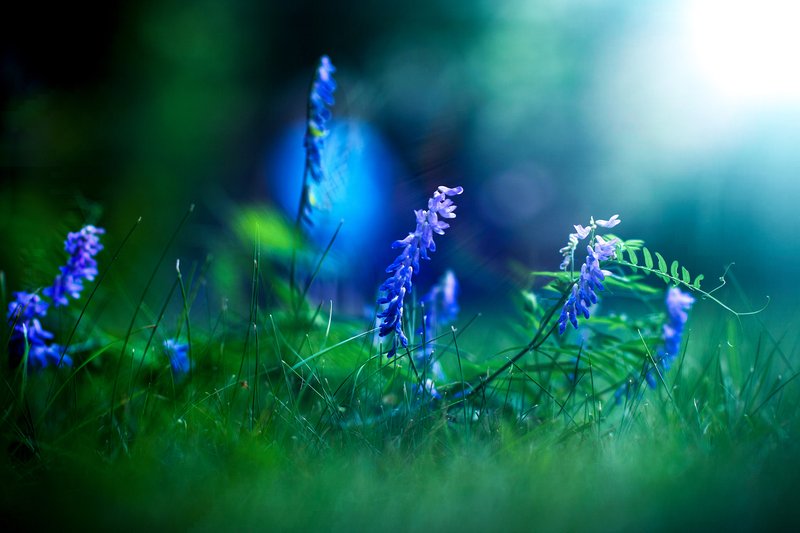 Природа и счастье